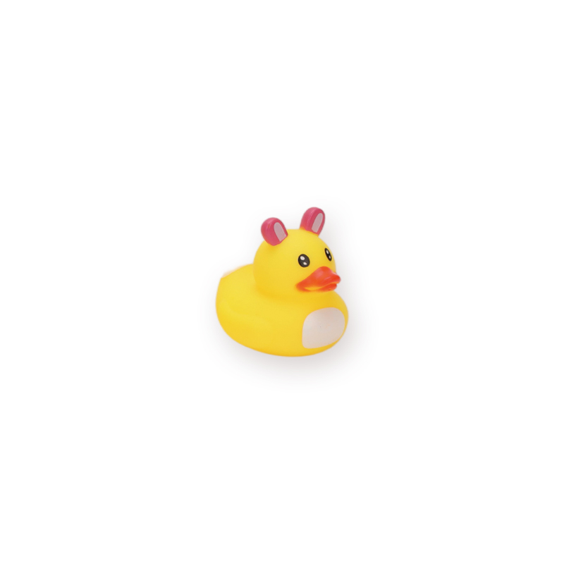 Mini Duck